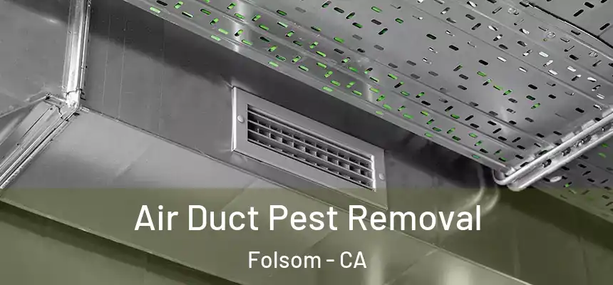 Air Duct Pest Removal Folsom - CA