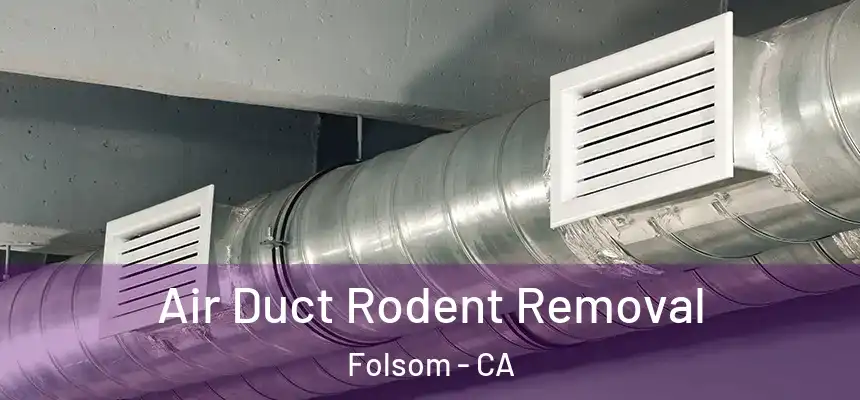 Air Duct Rodent Removal Folsom - CA