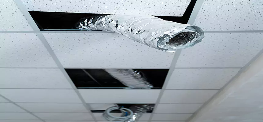 Our Air Duct Pet Hair Removal Services in Folsom, CA