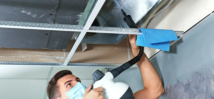 Our Air Duct Rodent Removal Services in Folsom, CA