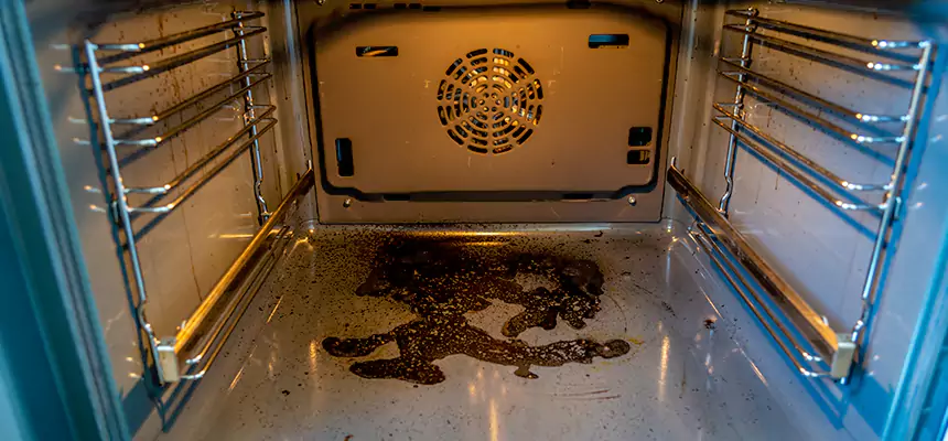 Our Dryer Vent Mold Cleaning Services in Folsom, CA