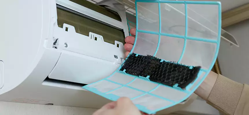 Gentle Ductwork Odor-Control Pet Dander Duct Cleaning in Folsom, CA