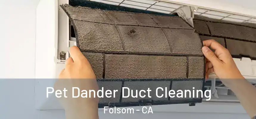 Pet Dander Duct Cleaning Folsom - CA