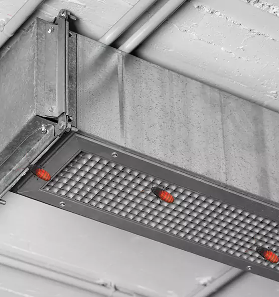 About Air Duct Cockroach Removal in Folsom, CA