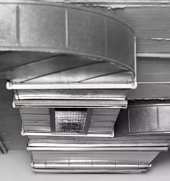 Professional Air Duct Pet Hair Removal in Folsom, CA