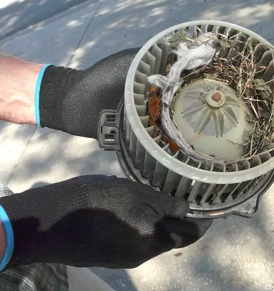 About Air Duct Rat Removal in Folsom, CA