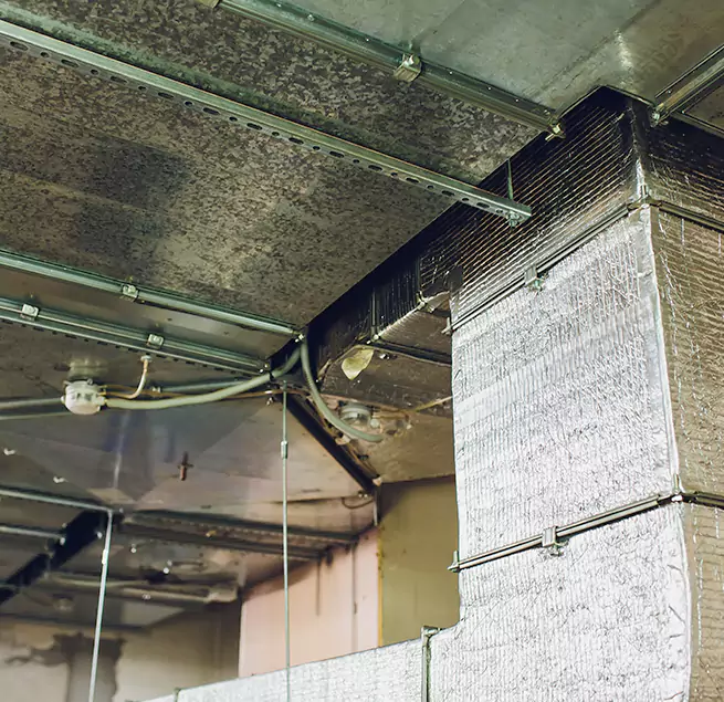 Why Homeowners & Businesses Trust Us in Folsom, CA?